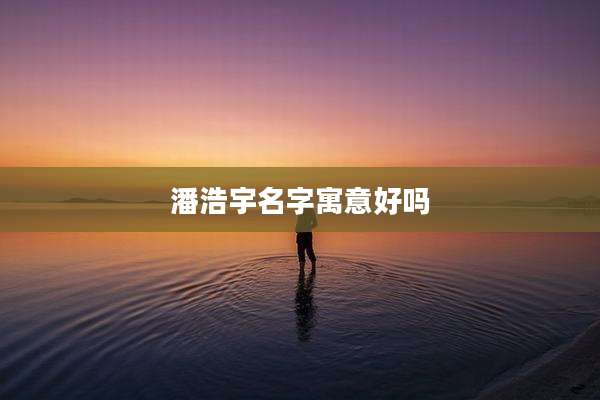 潘浩宇名字寓意好吗