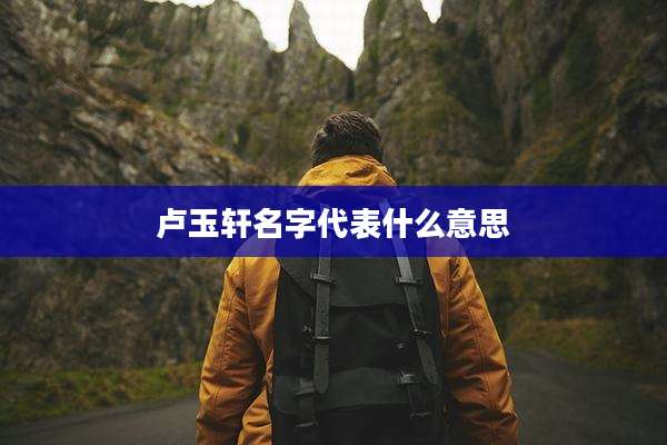 卢玉轩名字代表什么意思