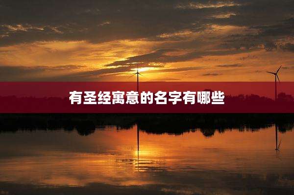 有圣经寓意的名字有哪些