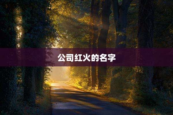 公司红火的名字