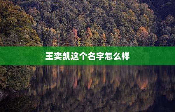 王奕凯这个名字怎么样