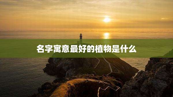 名字寓意最好的植物是什么