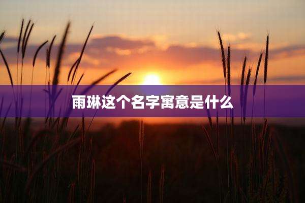 雨琳这个名字寓意是什么