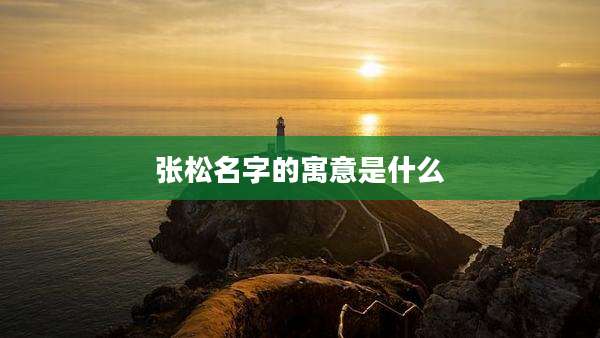 张松名字的寓意是什么