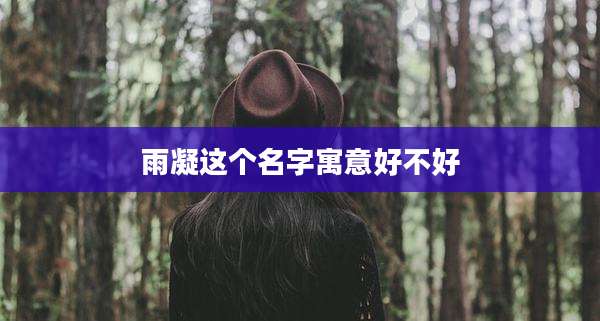 雨凝这个名字寓意好不好