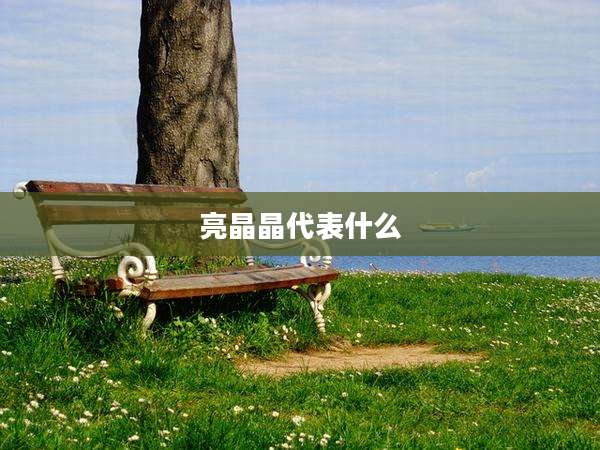 亮晶晶代表什么