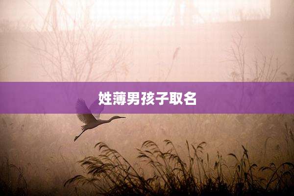 姓薄男孩子取名