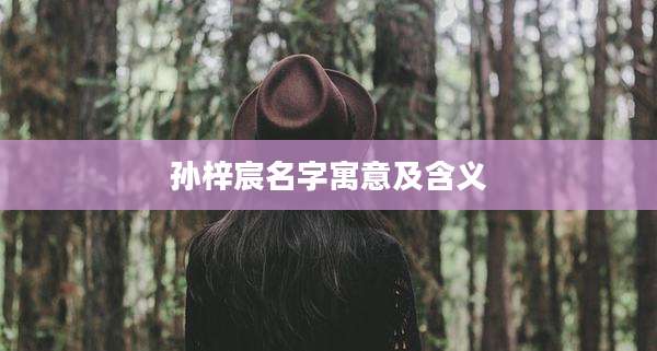 孙梓宸名字寓意及含义