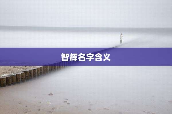 智辉名字含义