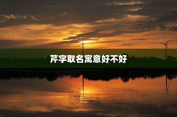 芹字取名寓意好不好