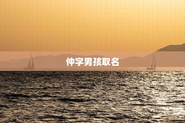仲字男孩取名