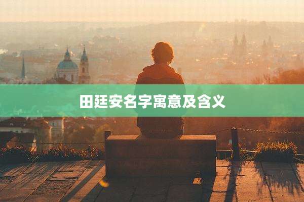 田廷安名字寓意及含义