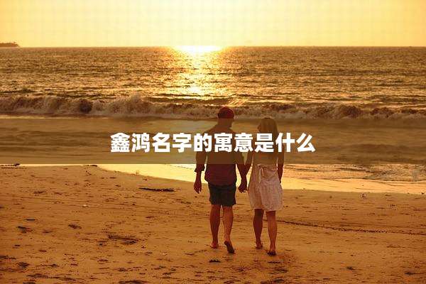 鑫鸿名字的寓意是什么