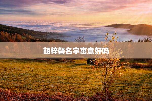 胡梓馨名字寓意好吗