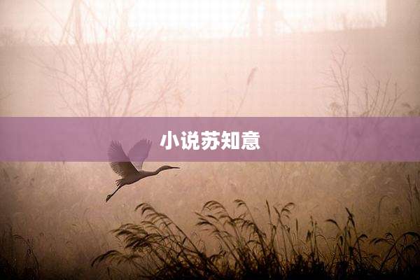 小说苏知意