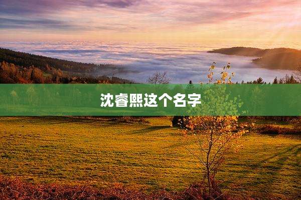 沈睿熙这个名字