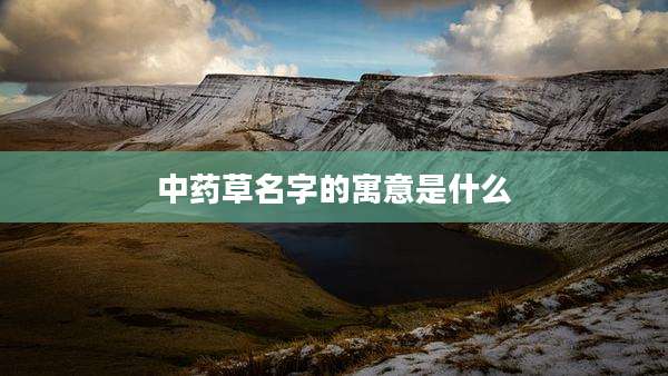 中药草名字的寓意是什么