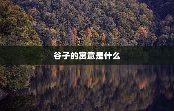 谷子的寓意是什么