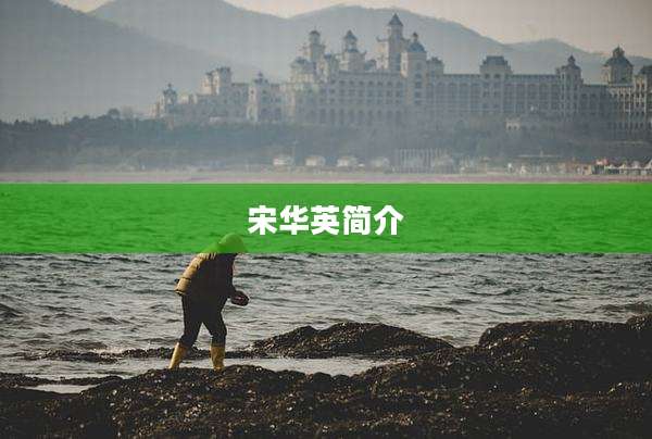 宋华英简介