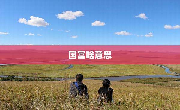 国富啥意思
