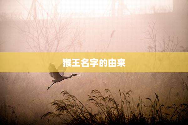 猴王名字的由来