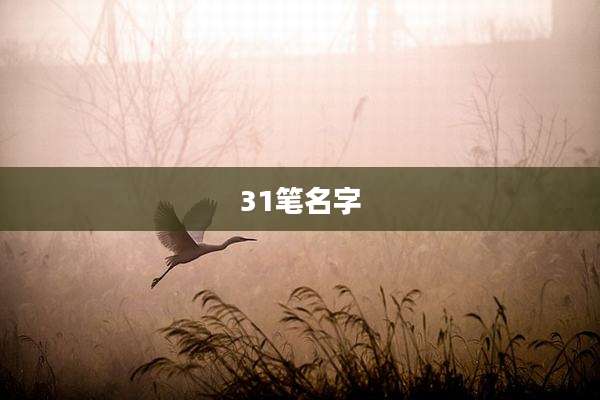 31笔名字