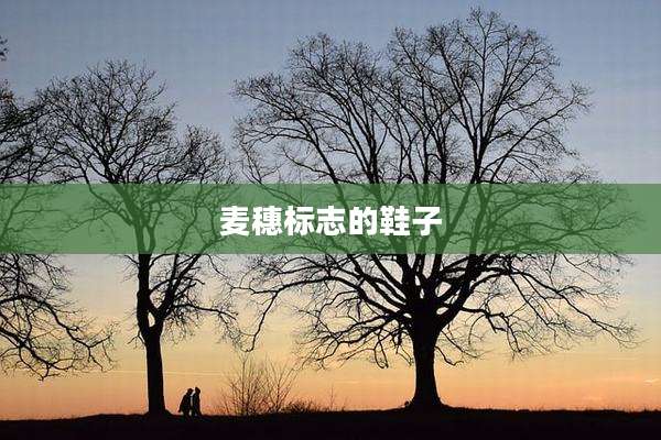 麦穗标志的鞋子