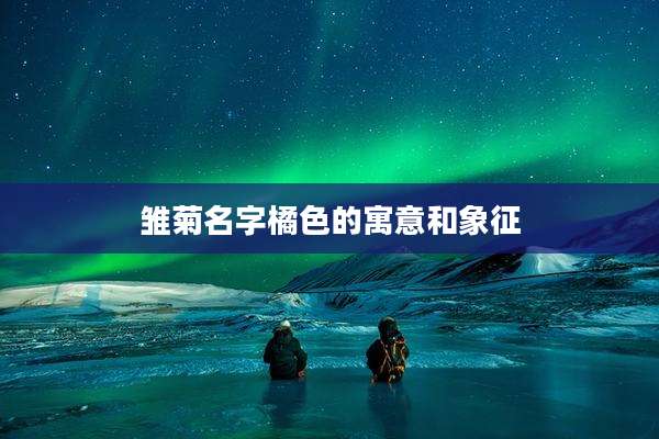 雏菊名字橘色的寓意和象征