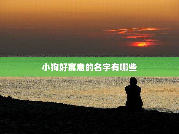 小狗好寓意的名字有哪些