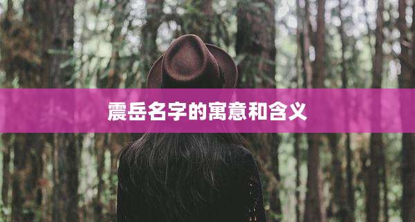 震岳名字的寓意和含义