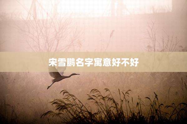 宋雪鹏名字寓意好不好