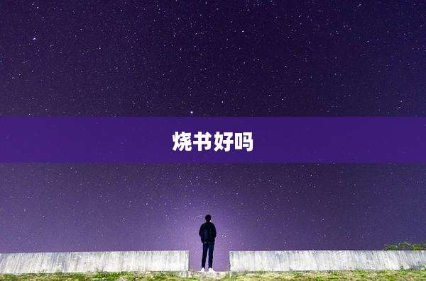 烧书好吗