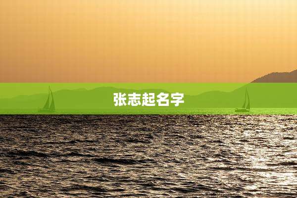 张志起名字