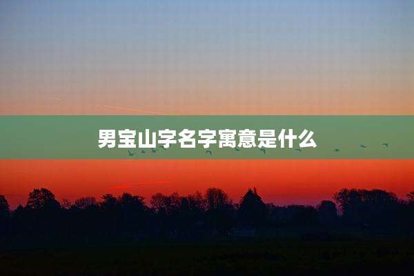 男宝山字名字寓意是什么
