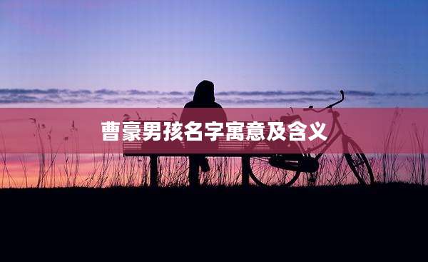 曹豪男孩名字寓意及含义