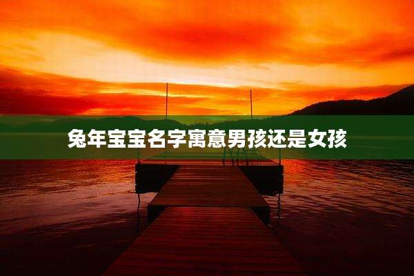 兔年宝宝名字寓意男孩还是女孩