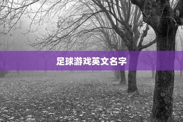 足球游戏英文名字