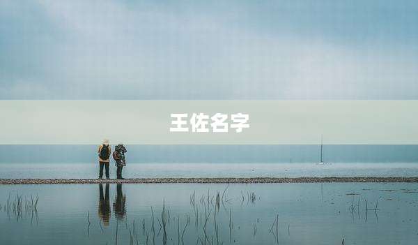 王佐名字