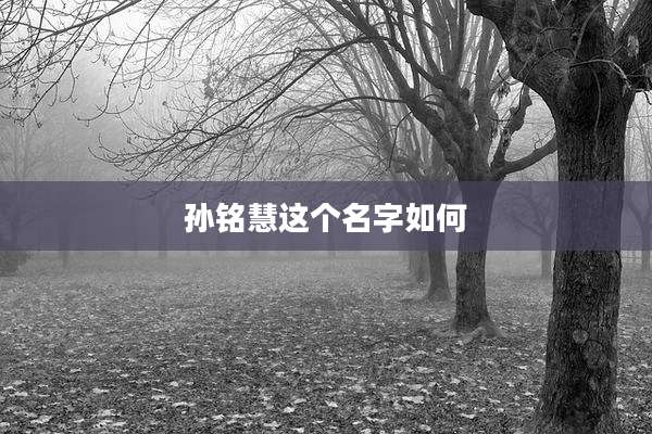 孙铭慧这个名字如何