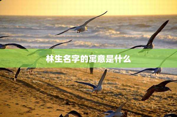 林生名字的寓意是什么
