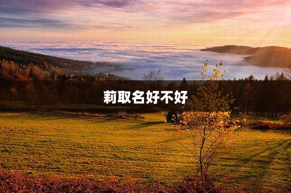 莉取名好不好