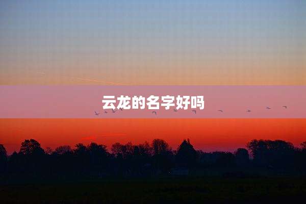 云龙的名字好吗