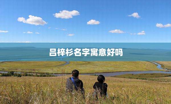 吕梓杉名字寓意好吗