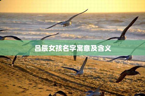吕辰女孩名字寓意及含义
