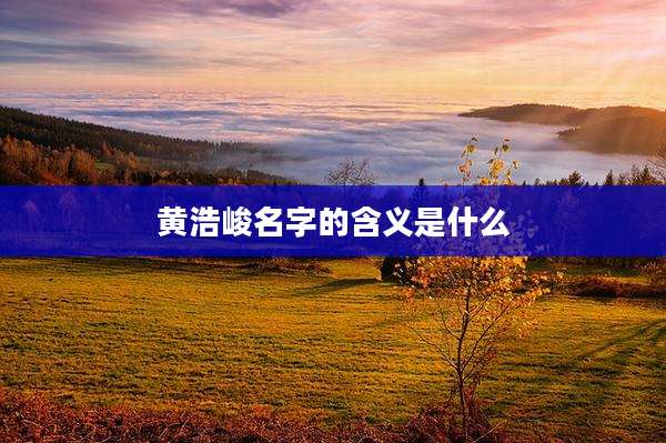 黄浩峻名字的含义是什么