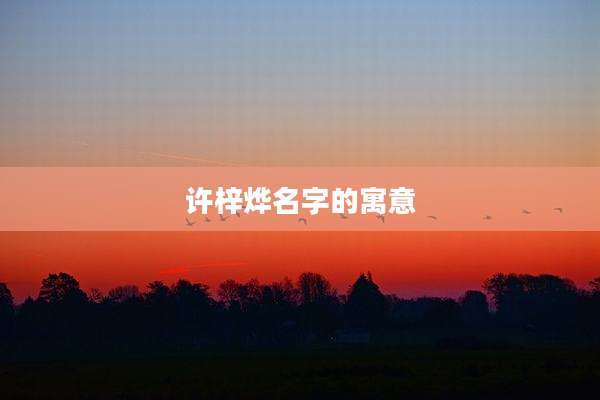 许梓烨名字的寓意