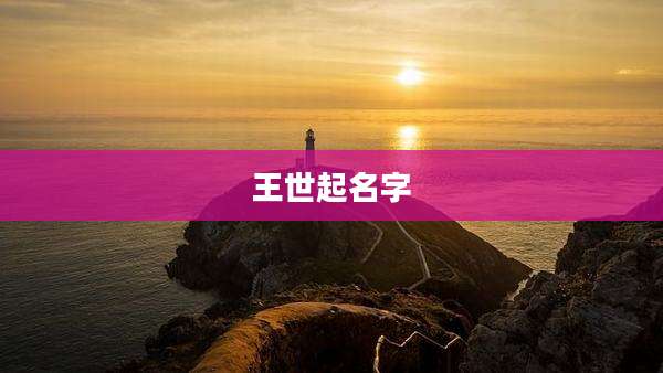 王世起名字