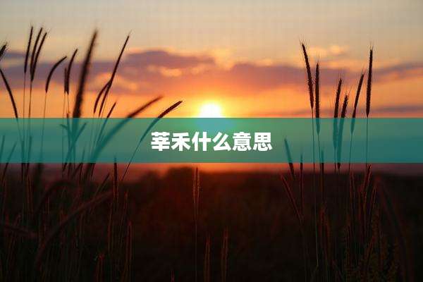 莘禾什么意思