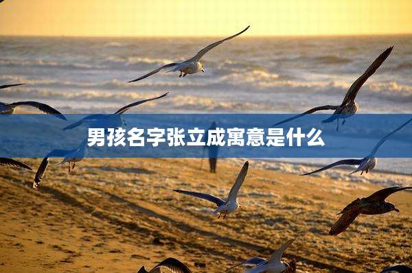 男孩名字张立成寓意是什么