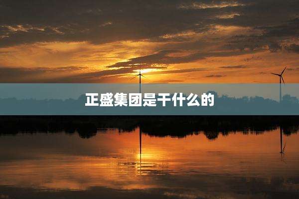 正盛集团是干什么的